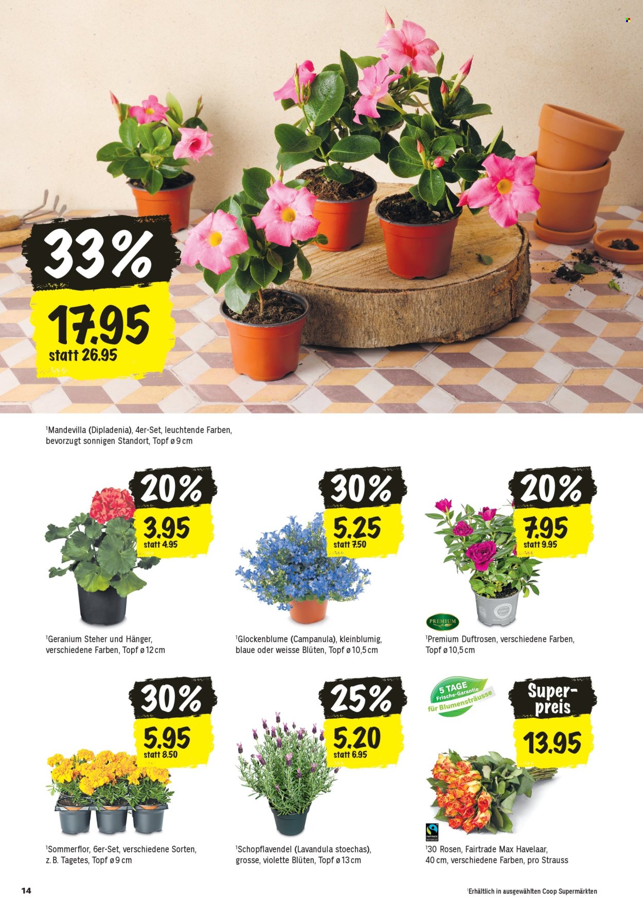 Catalogue Coop - 23.4.2026 - 29.4.2026. Page 14. Page 14