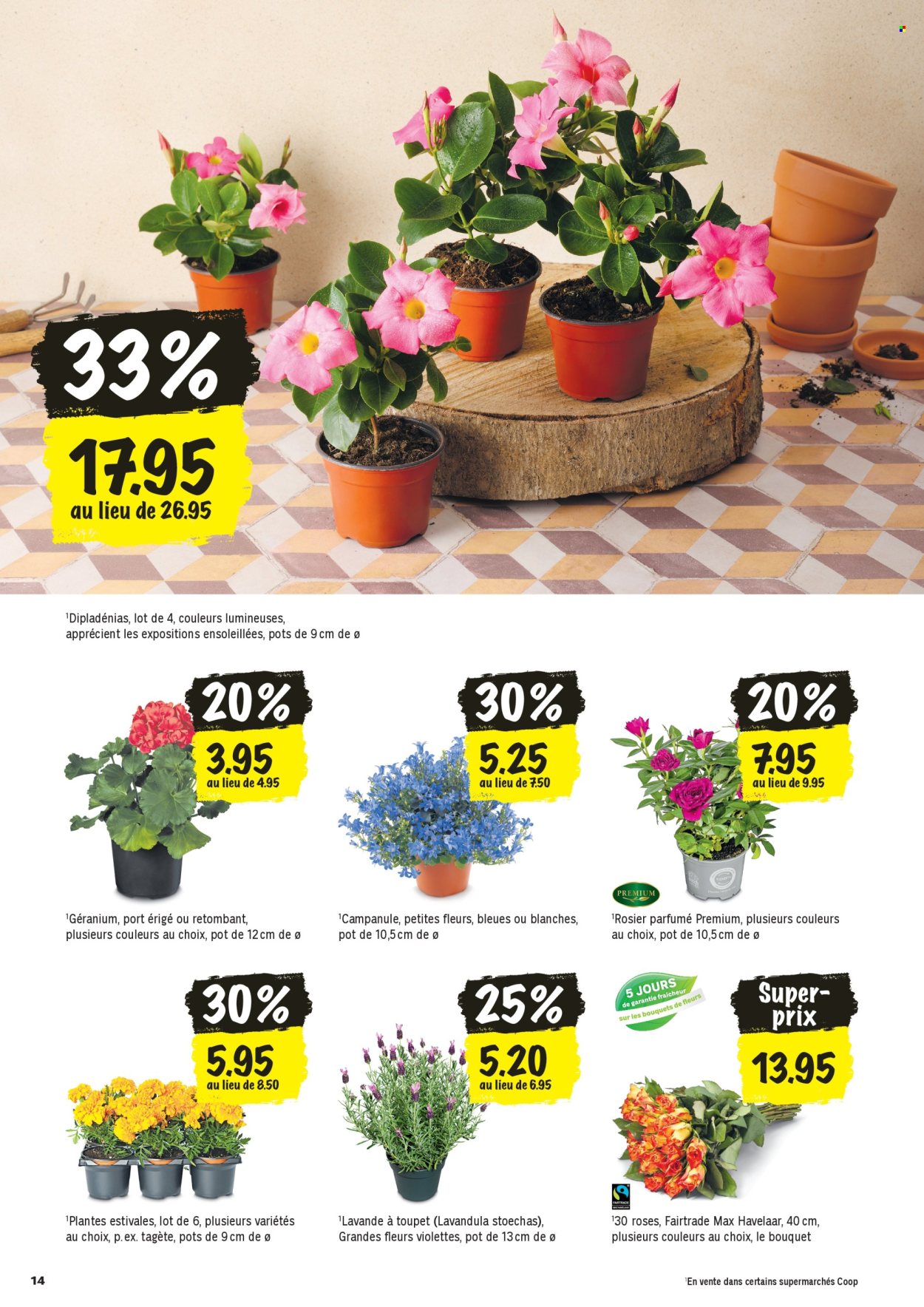 Catalogue Coop - 23.4.2026 - 29.4.2026. Page 14. Page 14