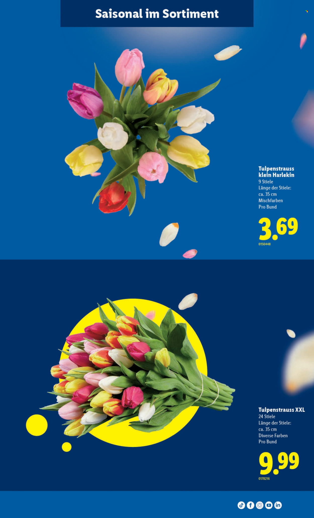 Catalogue Lidl - 30.4.2026 - 6.5.2026. Page 7. Page 7