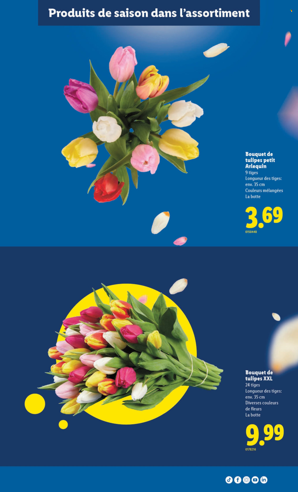 Catalogue Lidl - 30.4.2026 - 6.5.2026. Page 7. Page 7
