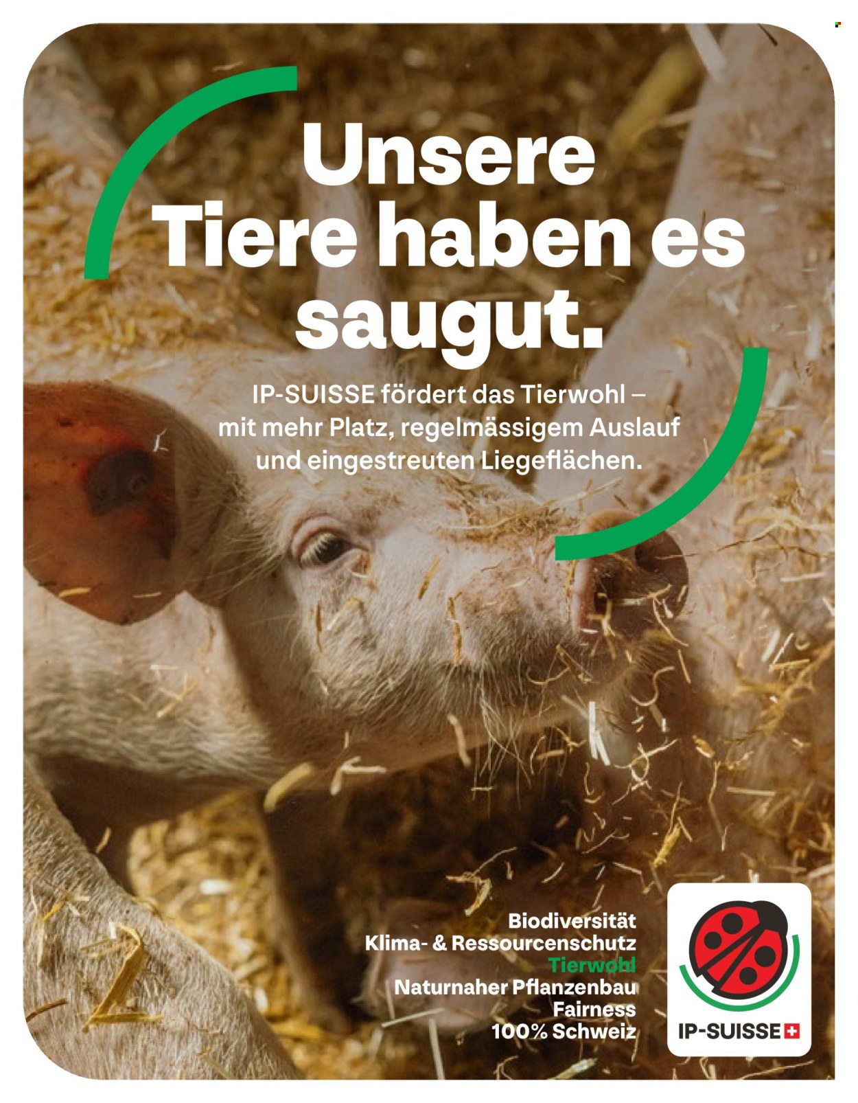 Catalogue Volg - 1.5.2026 - 31.5.2026. Page 28. Page 28