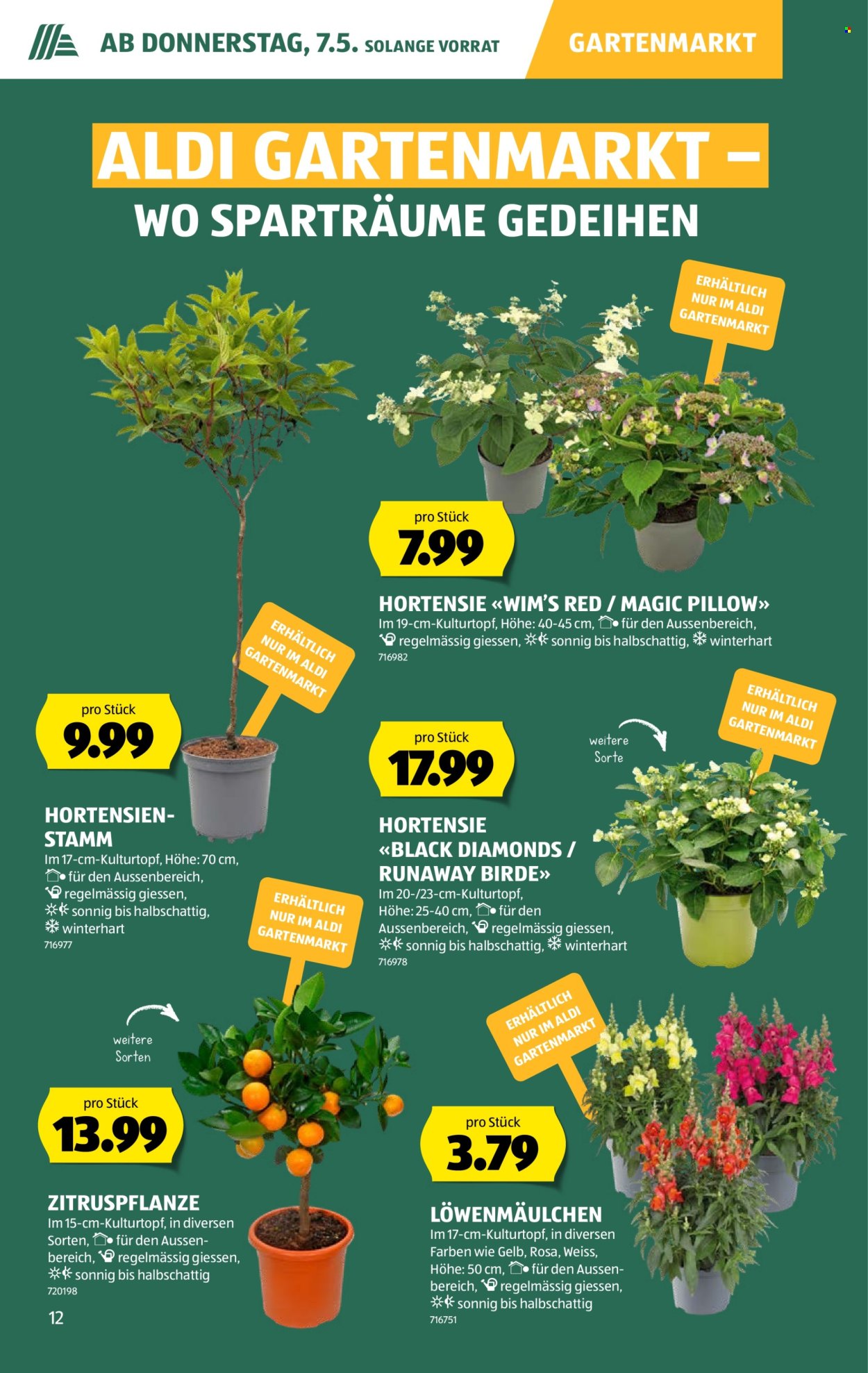 Catalogue Aldi - 7.5.2026 - 13.5.2026. Page 12. Page 12