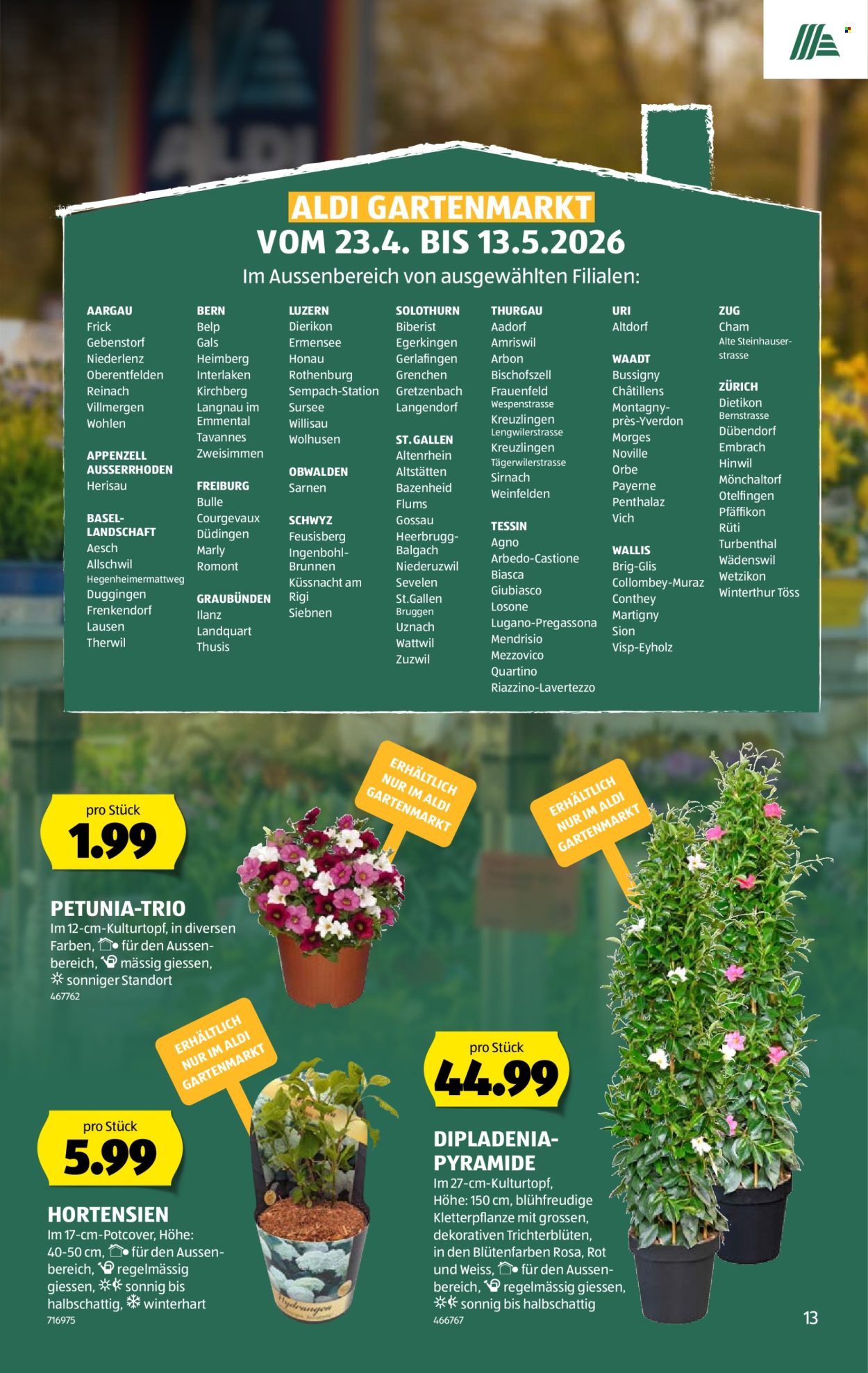 Catalogue Aldi - 7.5.2026 - 13.5.2026. Page 13. Page 13