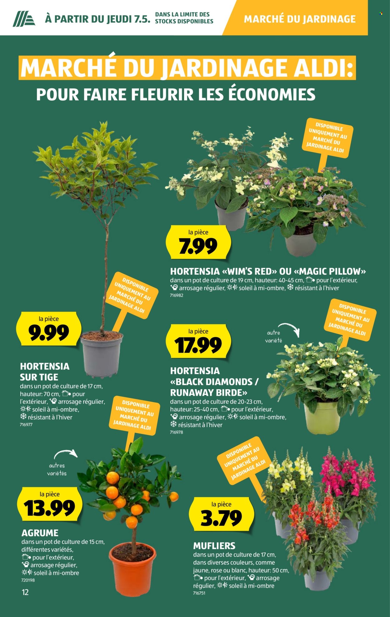 Catalogue Aldi - 7.5.2026 - 13.5.2026. Page 12. Page 12