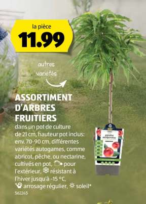 ASSORTIMENT D'ARBRES FRUITIERS