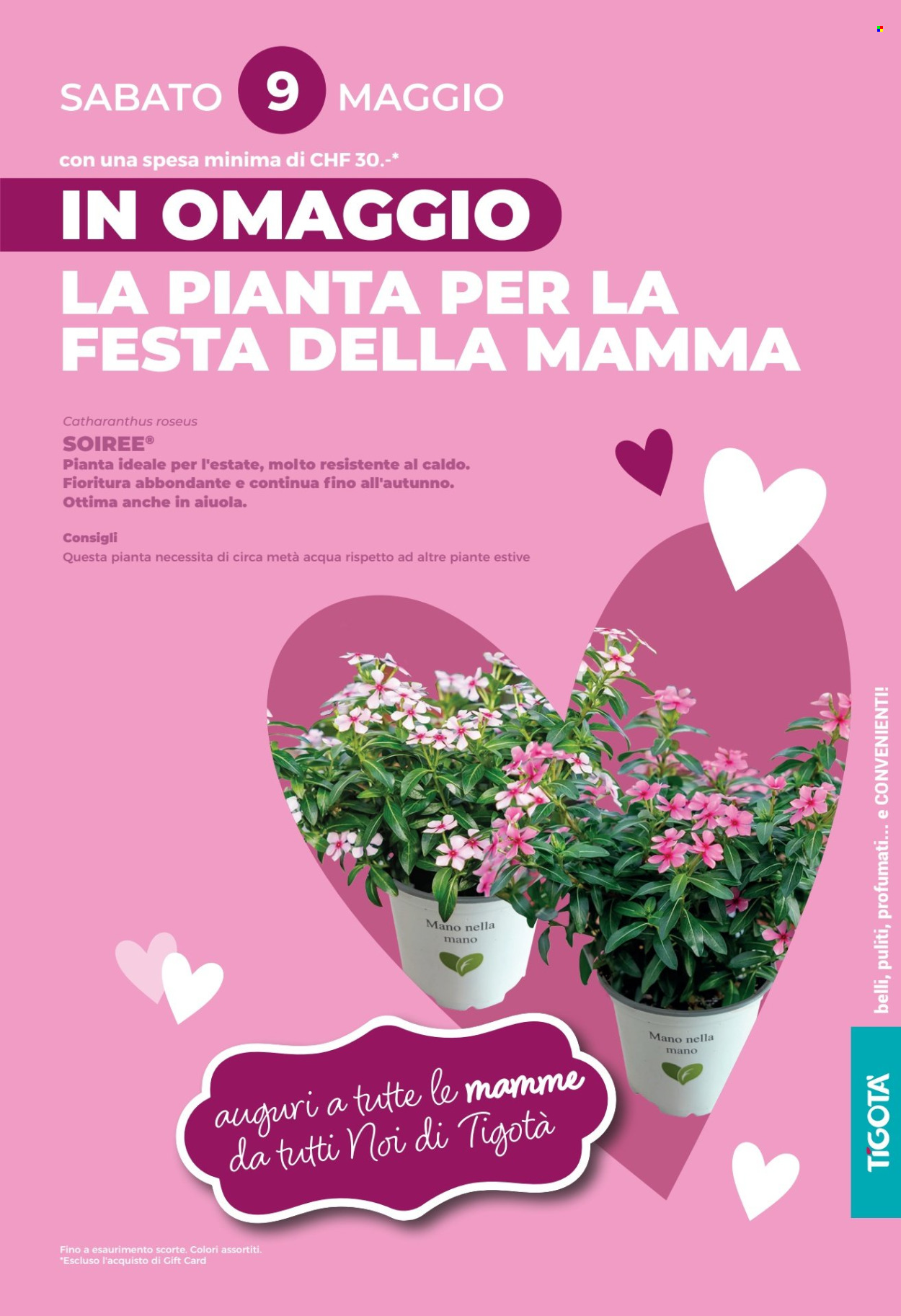 Catalogue Tigotà - 1.5.2026 - 31.5.2026. Page 19. Page 19
