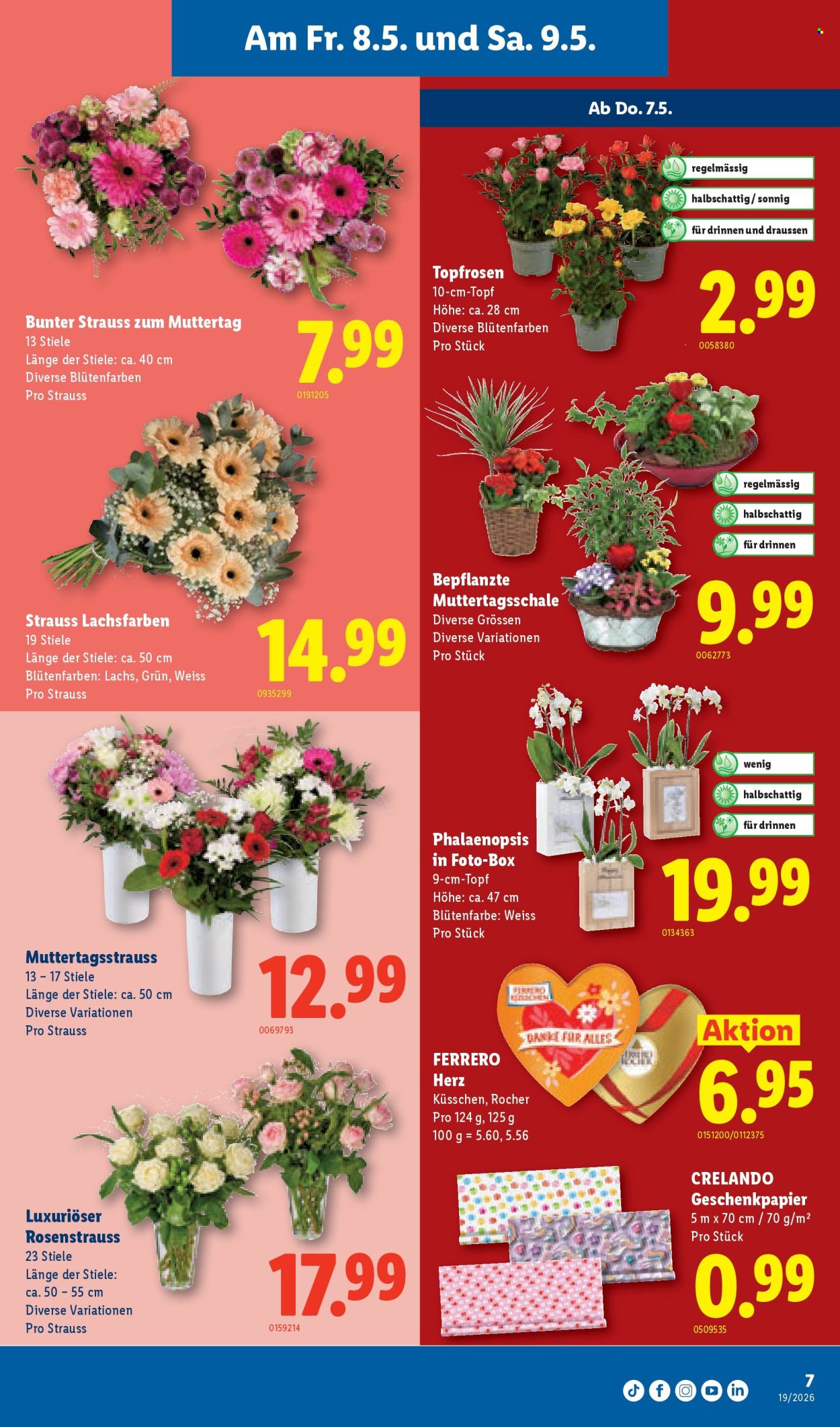 Catalogue Lidl - 7.5.2026 - 12.5.2026. Page 7. Page 7