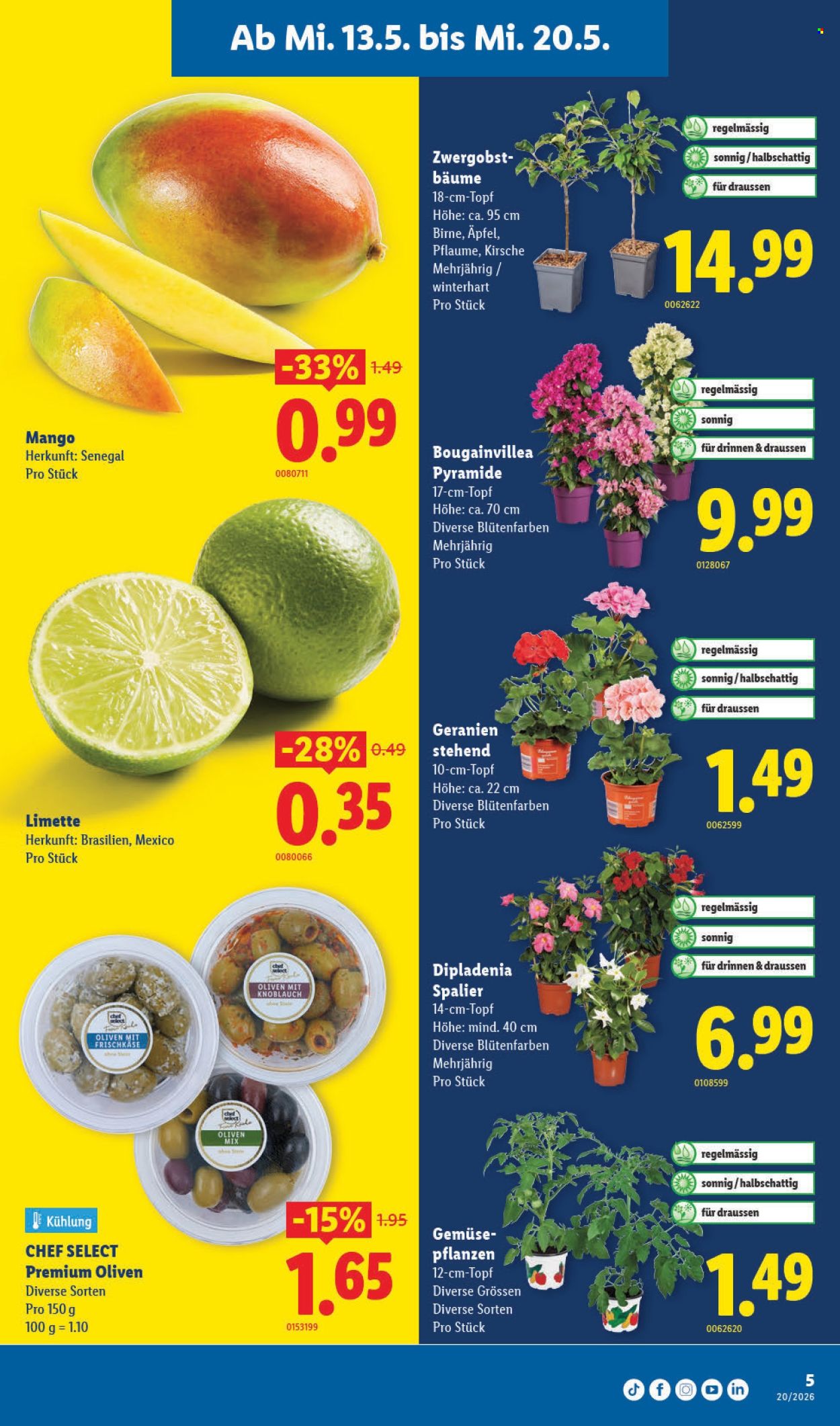 Catalogue Lidl - 13.5.2026 - 20.5.2026. Page 5. Page 5
