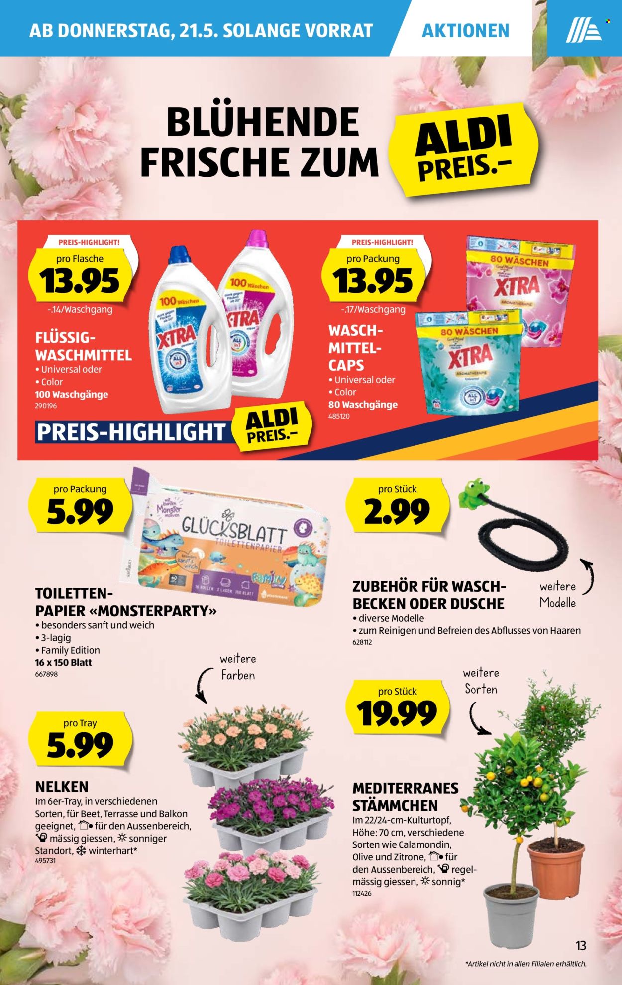 Catalogue Aldi - 21.5.2026 - 27.5.2026. Page 13. Page 13