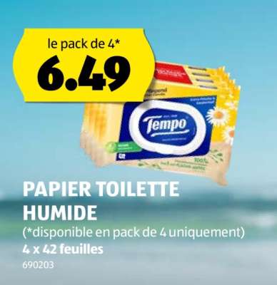 PAPIER TOILETTE HUMIDE