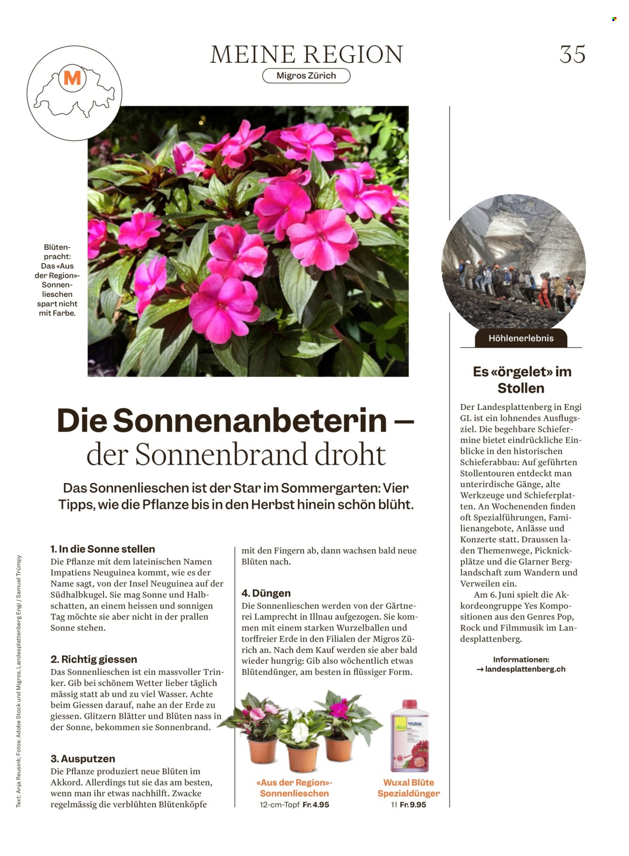 Catalogue Migros - 13.5.2026 - 20.5.2026. Page 35. Page 35