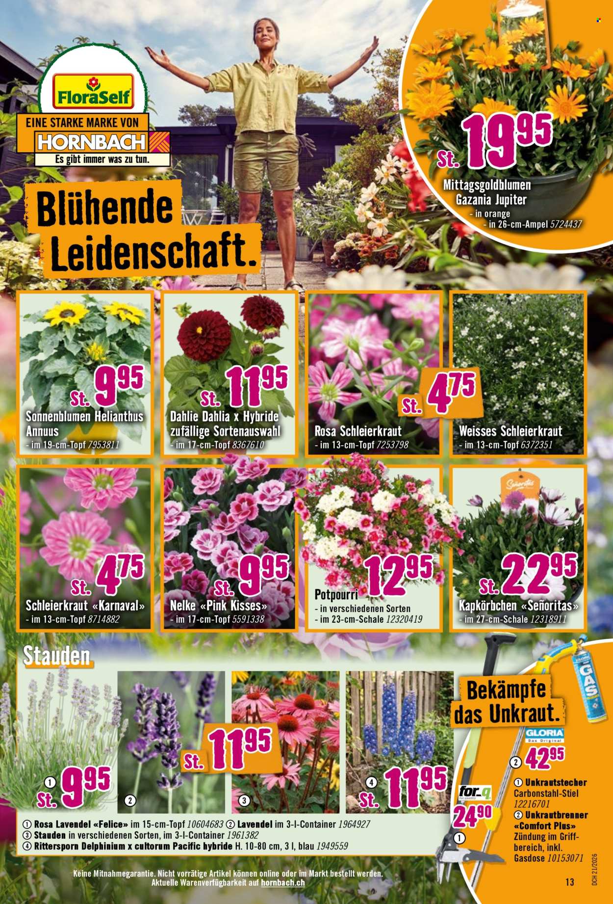 Catalogue Hornbach - 19.5.2026 - 31.5.2026. Page 13. Page 13