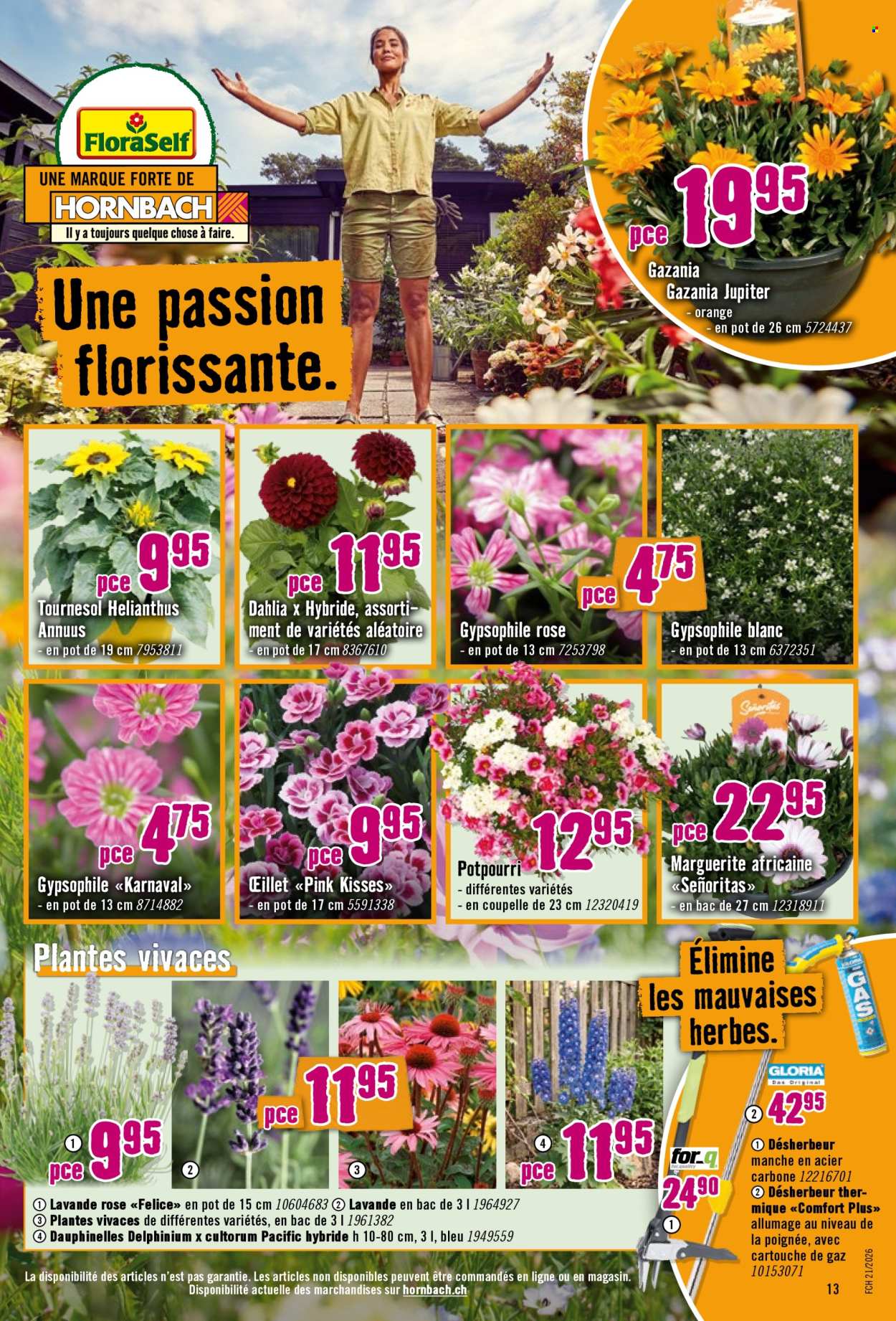 Catalogue Hornbach - 19.5.2026 - 31.5.2026. Page 13. Page 13
