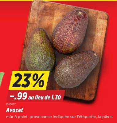 Avocat
