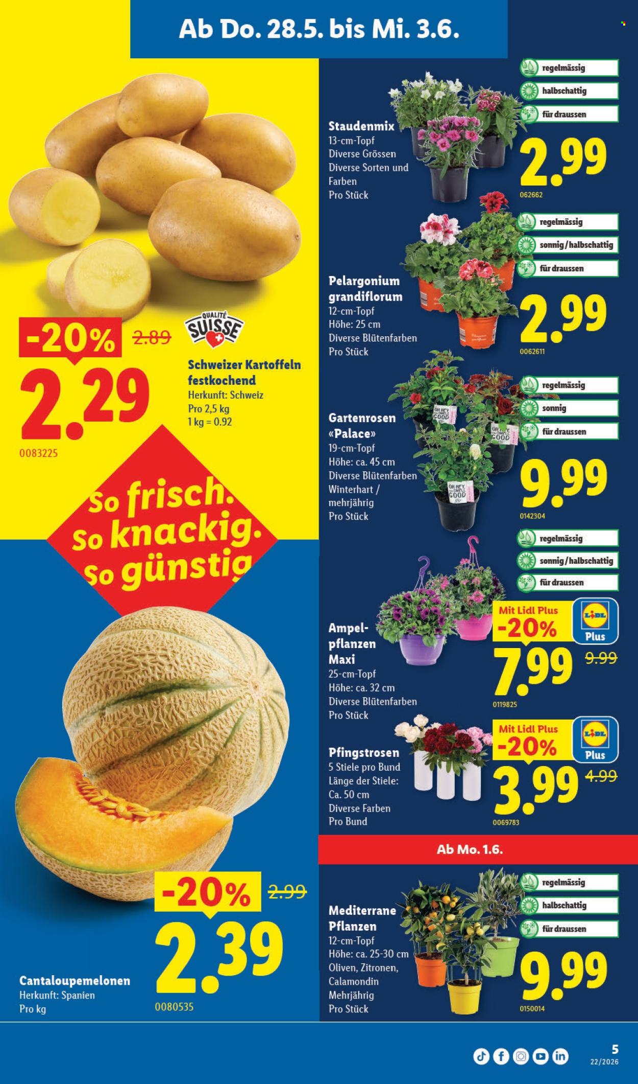 Catalogue Lidl - 28.5.2026 - 3.6.2026. Page 5. Page 5