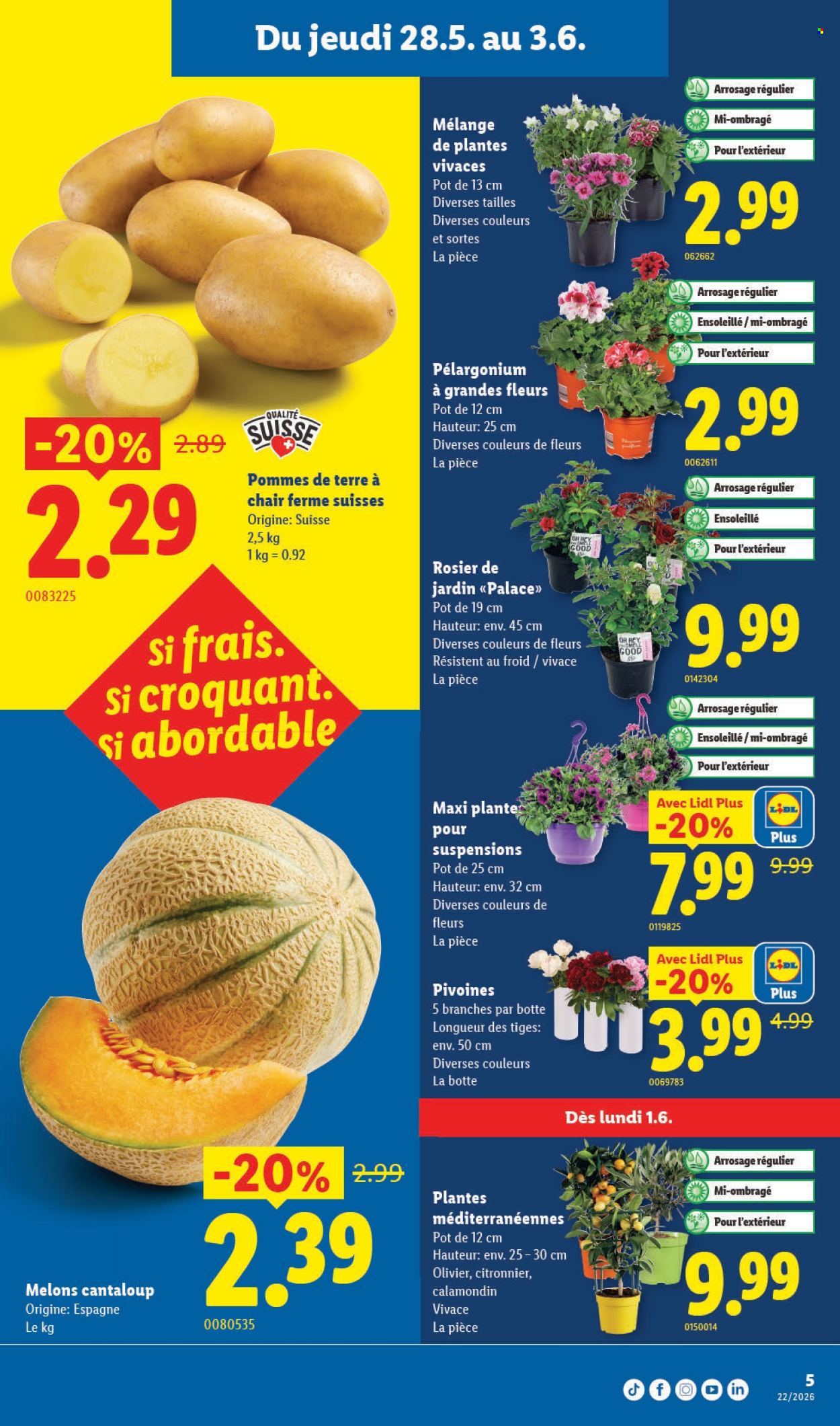 Catalogue Lidl - 28.5.2026 - 3.6.2026. Page 5. Page 5