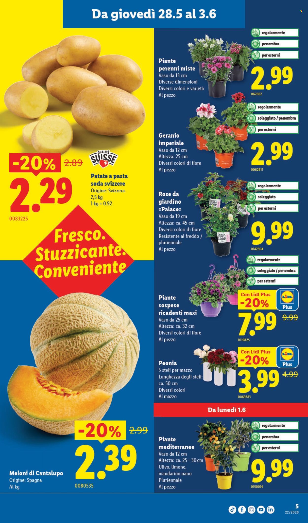 Catalogue Lidl - 28.5.2026 - 3.6.2026. Page 5. Page 5