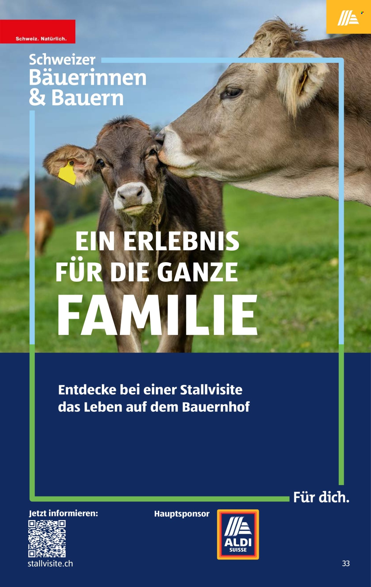 Catalogue Aldi - 4.6.2026 - 10.6.2026. Page 37. Page 37
