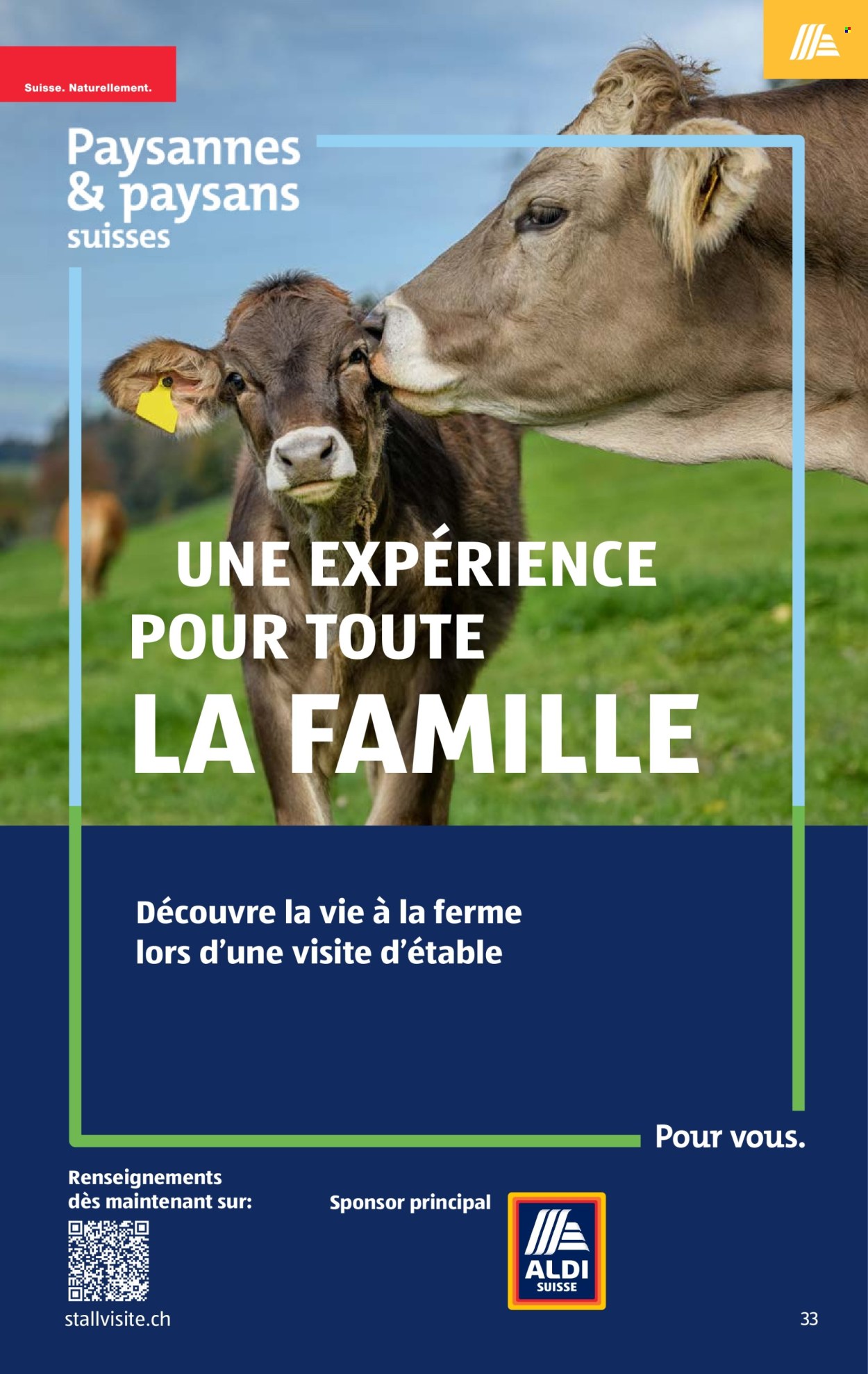 Catalogue Aldi - 4.6.2026 - 10.6.2026. Page 33. Page 33