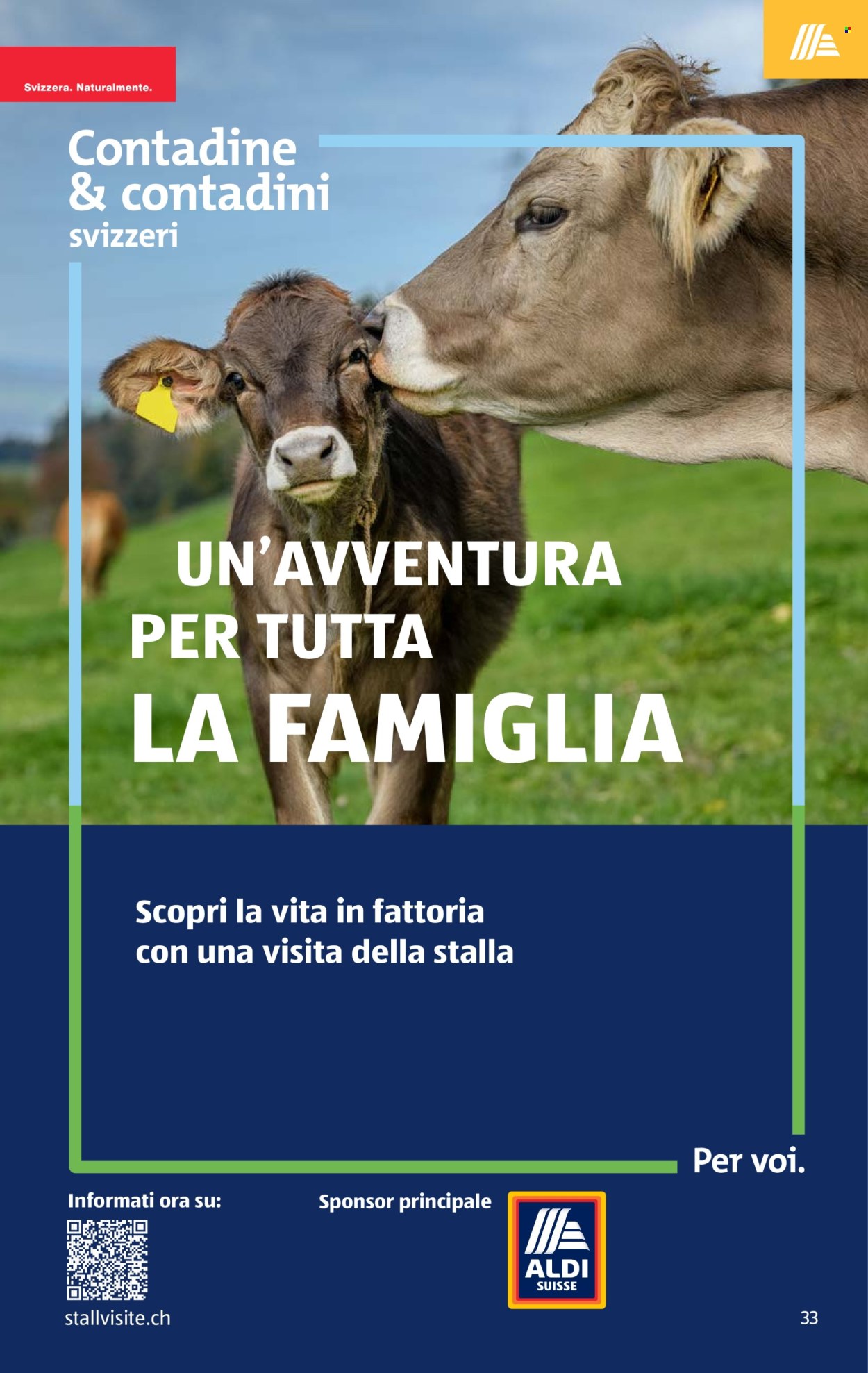 Catalogue Aldi - 4.6.2026 - 10.6.2026. Page 33. Page 33
