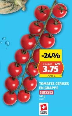 TOMATES CERISES EN GRAPPE SUISSES