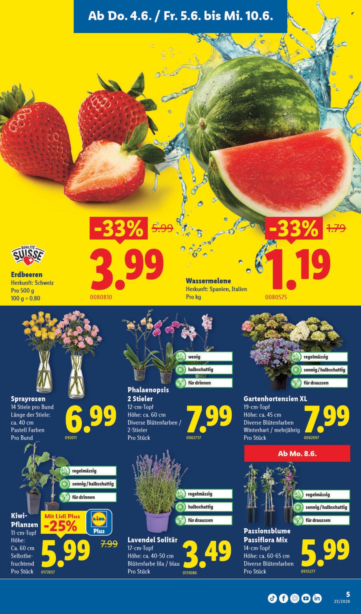 Catalogue Lidl - 4.6.2026 - 10.6.2026. Page 5. Page 5