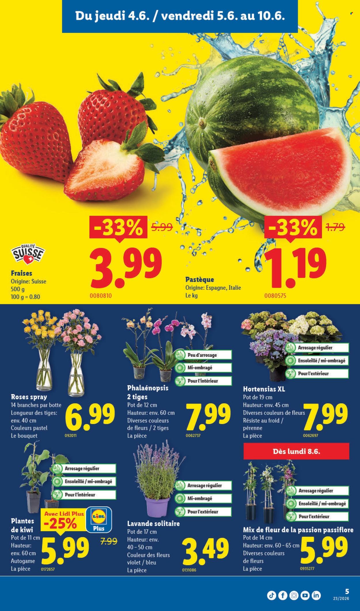 Catalogue Lidl - 4.6.2026 - 10.6.2026. Page 5. Page 5