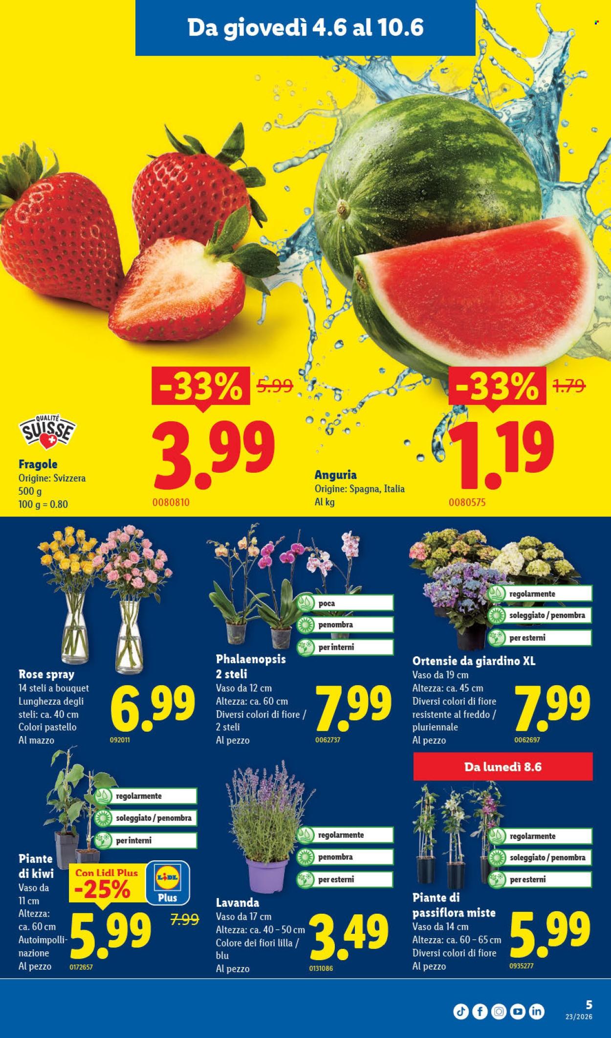 Catalogue Lidl - 4.6.2026 - 10.6.2026. Page 5. Page 5