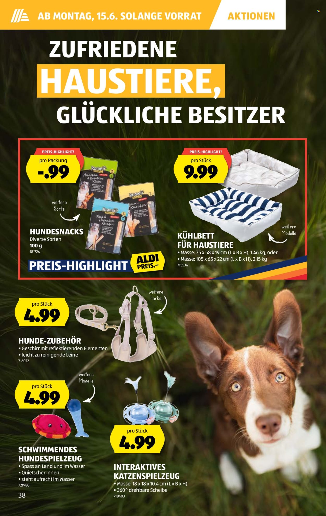 Catalogue Aldi - 11.6.2026 - 17.6.2026. Page 42. Page 42