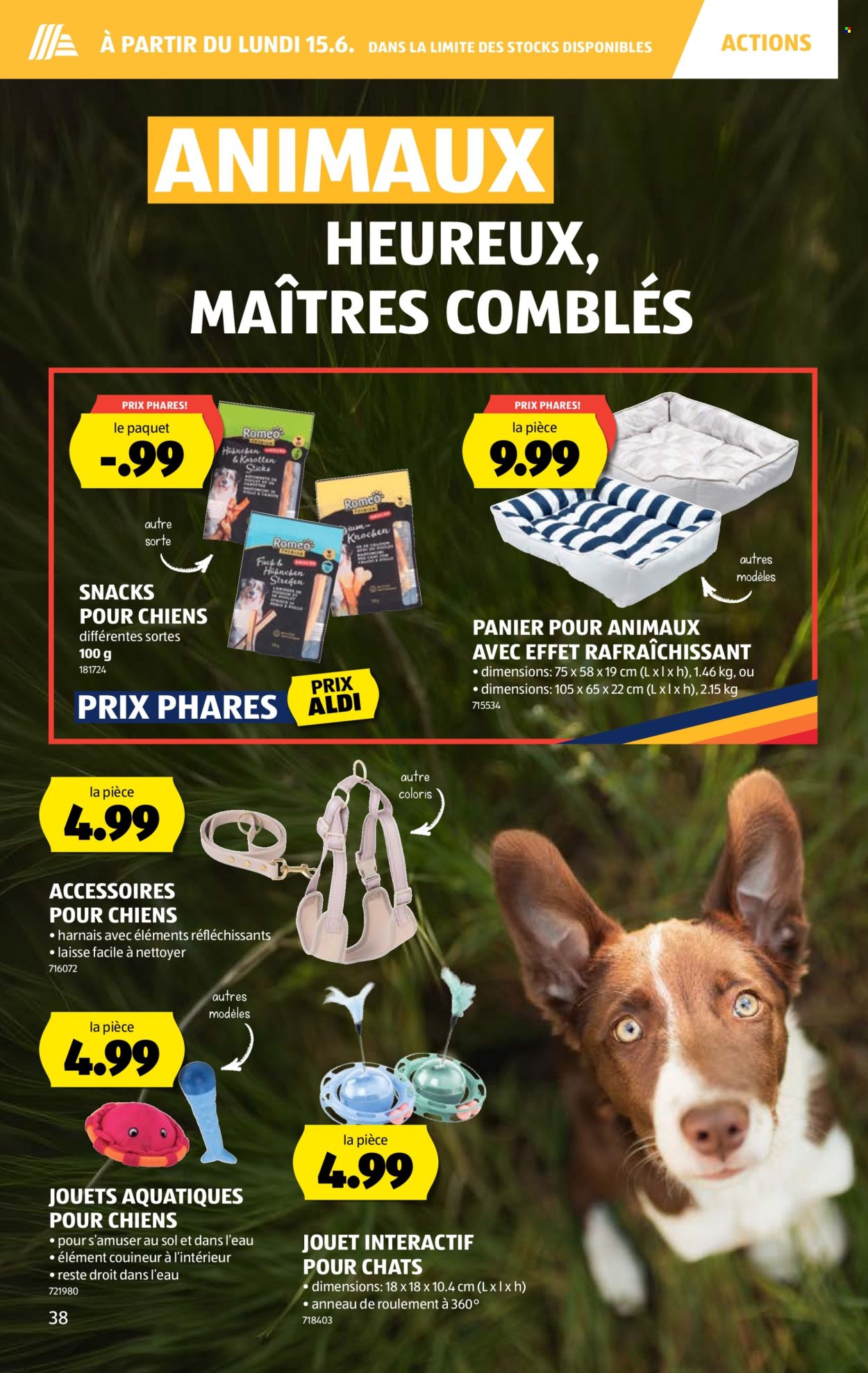 Catalogue Aldi - 11.6.2026 - 17.6.2026. Page 42. Page 42