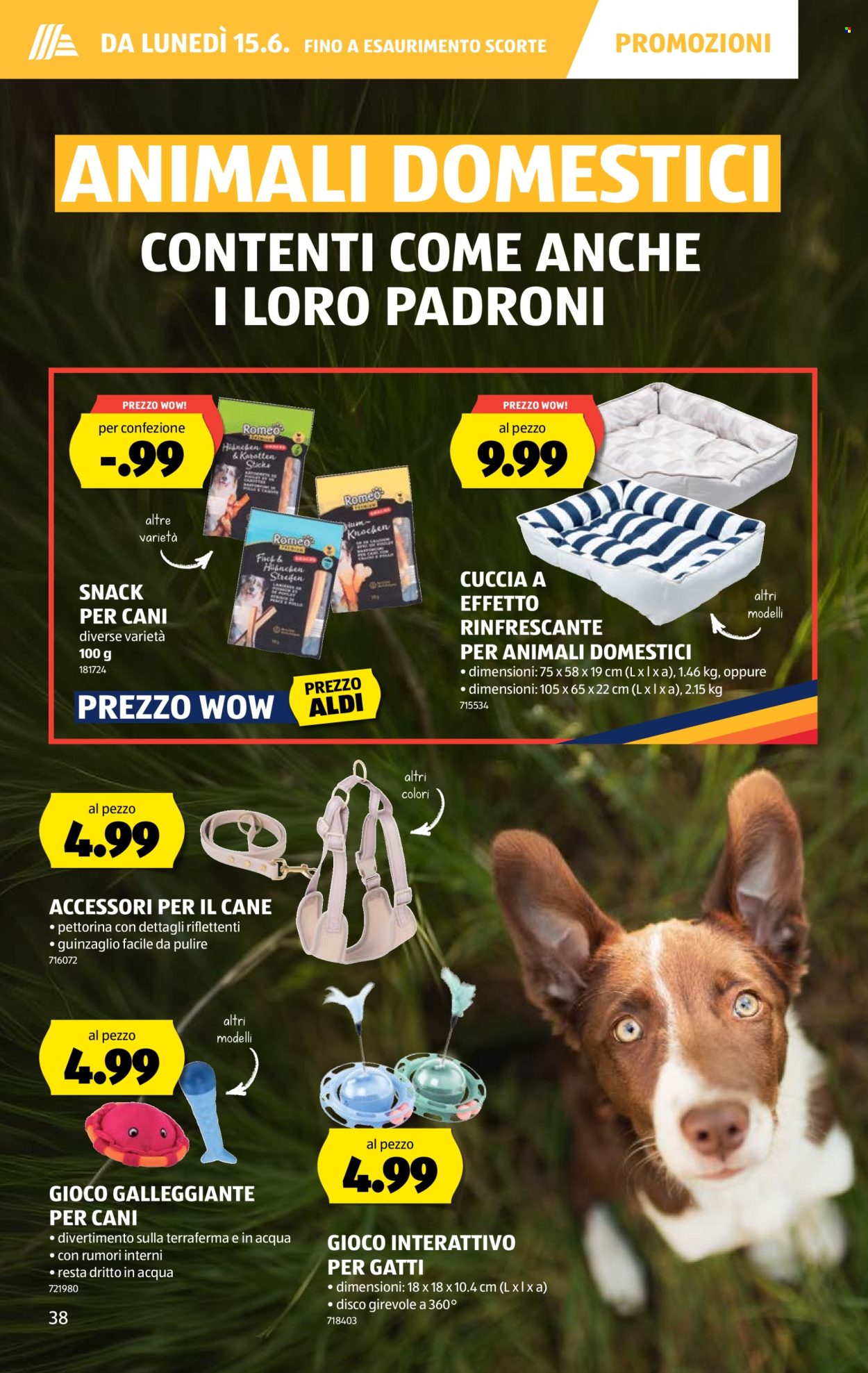 Catalogue Aldi - 11.6.2026 - 17.6.2026. Page 42. Page 42