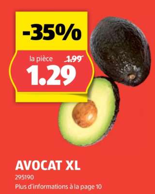 AVOCAT XL