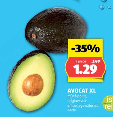 AVOCAT XL