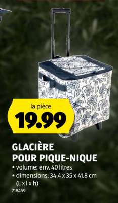 GLACIÈRE POUR PIQUE-NIQUE