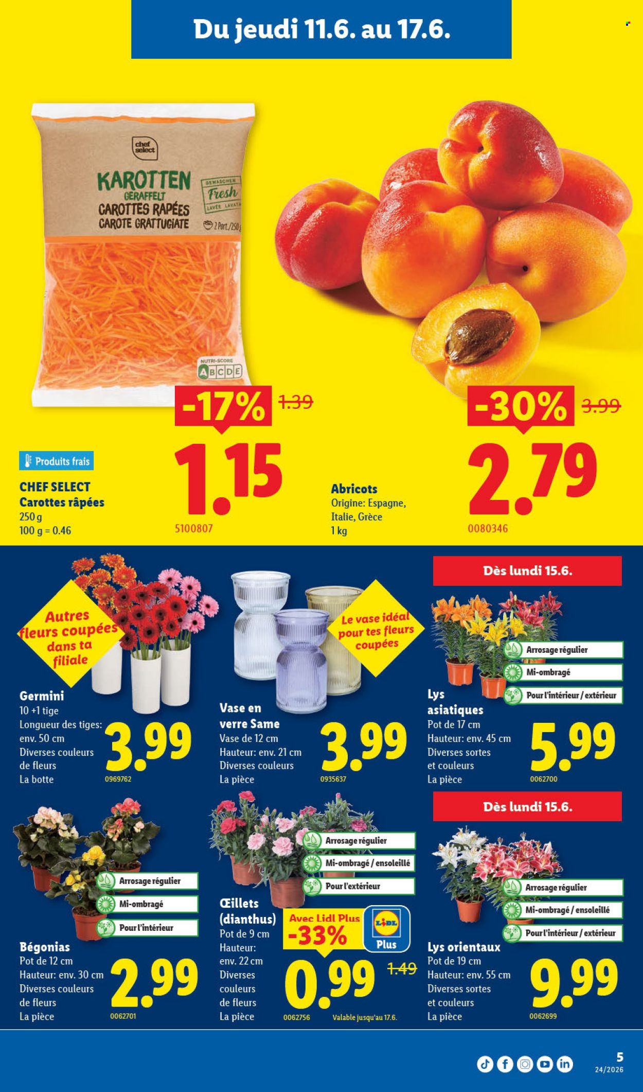 Catalogue Lidl - 11.6.2026 - 17.6.2026. Page 5. Page 5