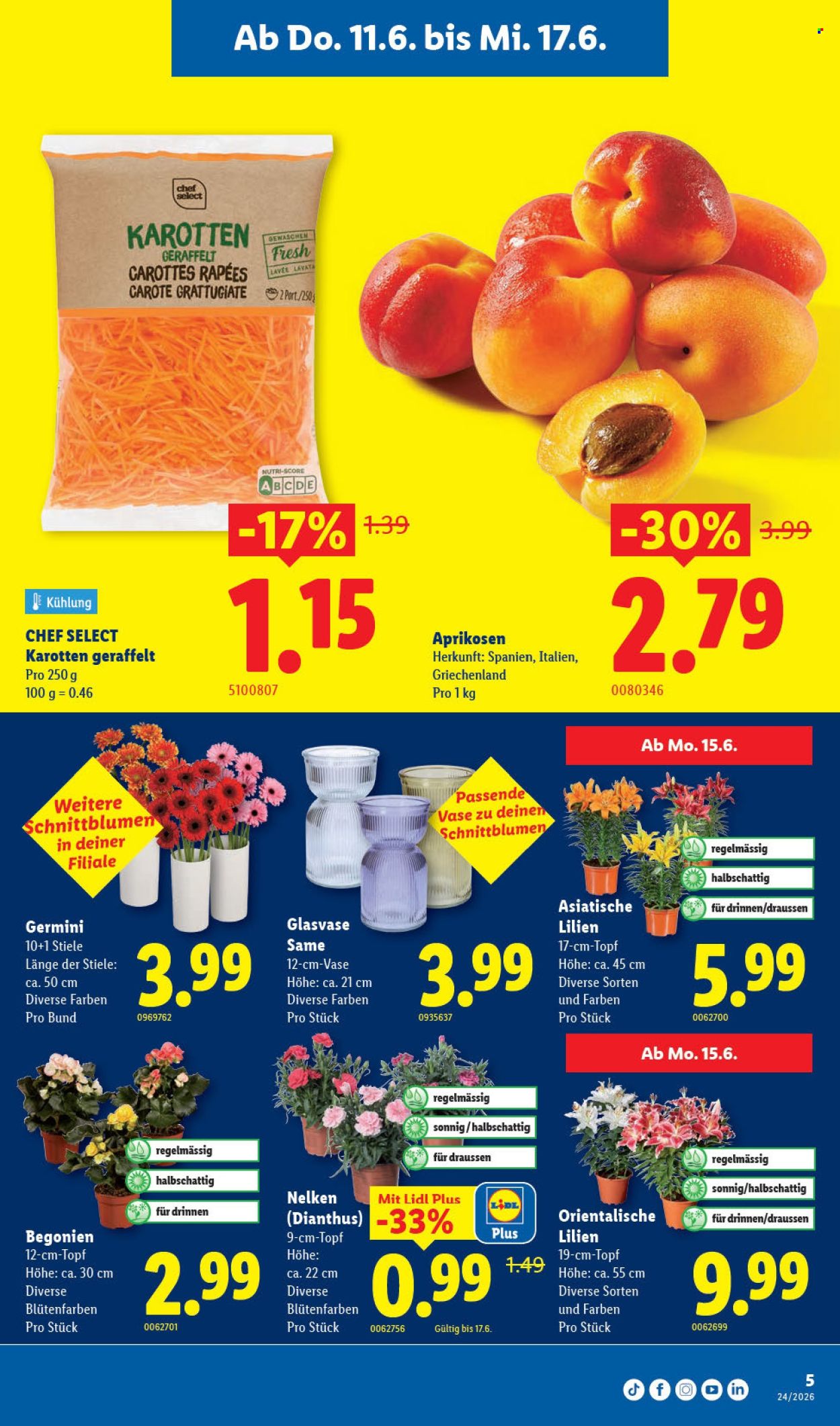 Catalogue Lidl - 11.6.2026 - 17.6.2026. Page 5. Page 5