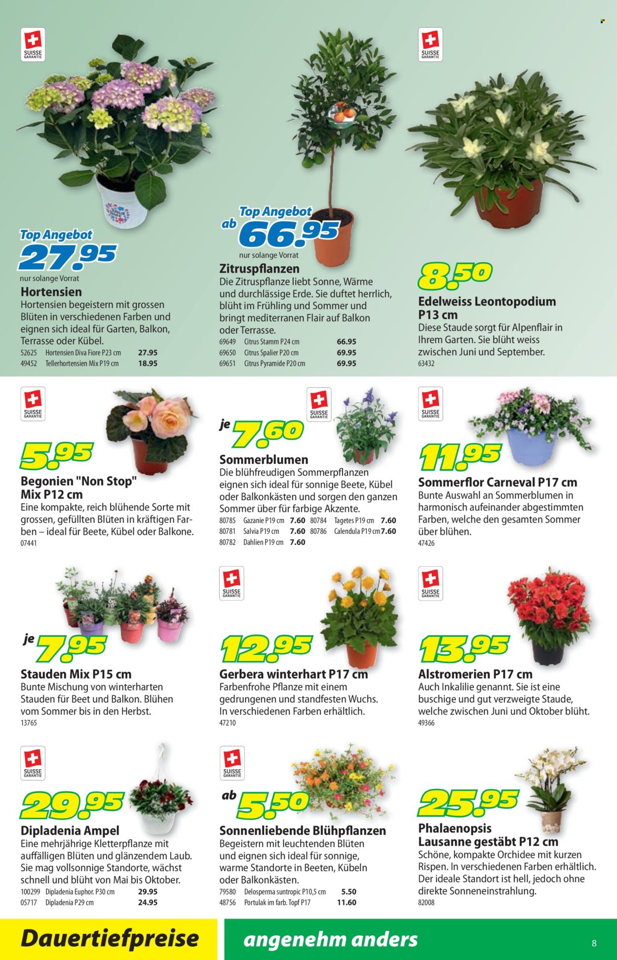 Catalogue Landi - 8.6.2026 - 21.6.2026. Page 12. Page 12