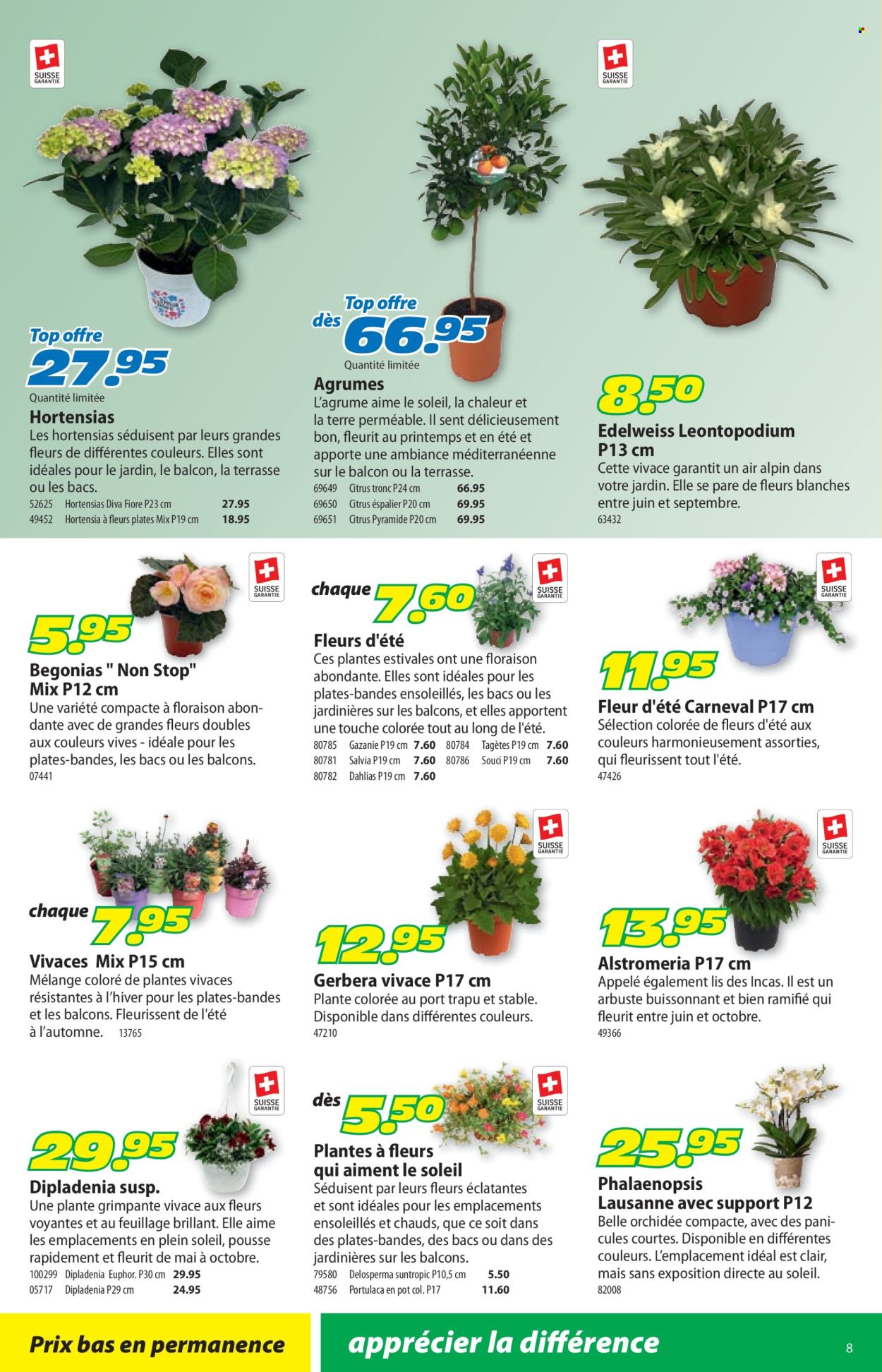 Catalogue Landi - 8.6.2026 - 21.6.2026. Page 12. Page 12