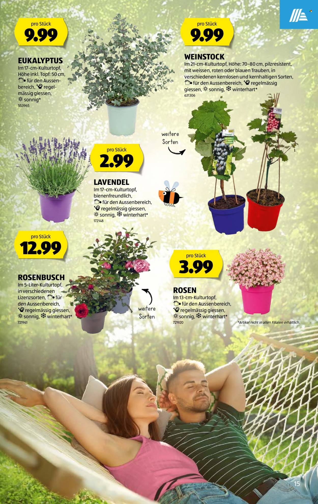 Catalogue Aldi - 18.6.2026 - 24.6.2026. Page 15. Page 15