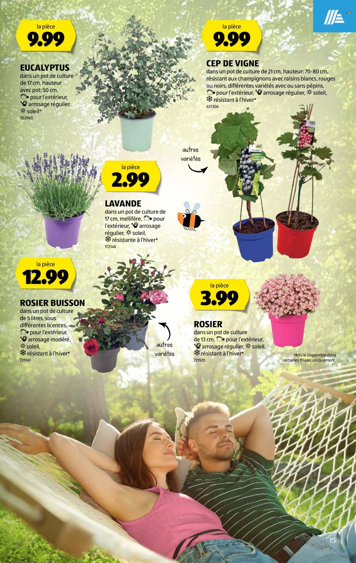 Catalogue Aldi - 18.6.2026 - 24.6.2026. Page 15. Page 15