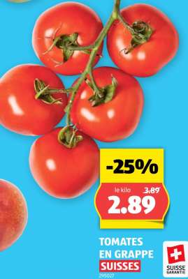 TOMATES EN GRAPPE SUISSES