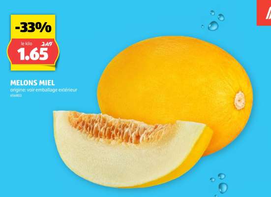 MELONS MIEL