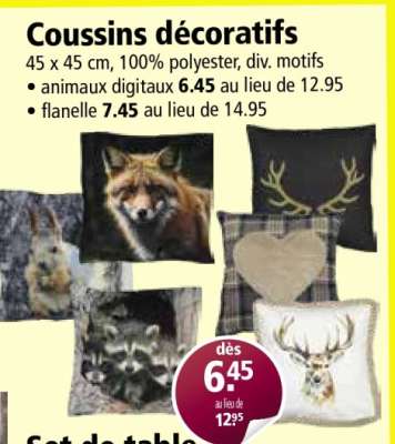 Coussins décoratifs