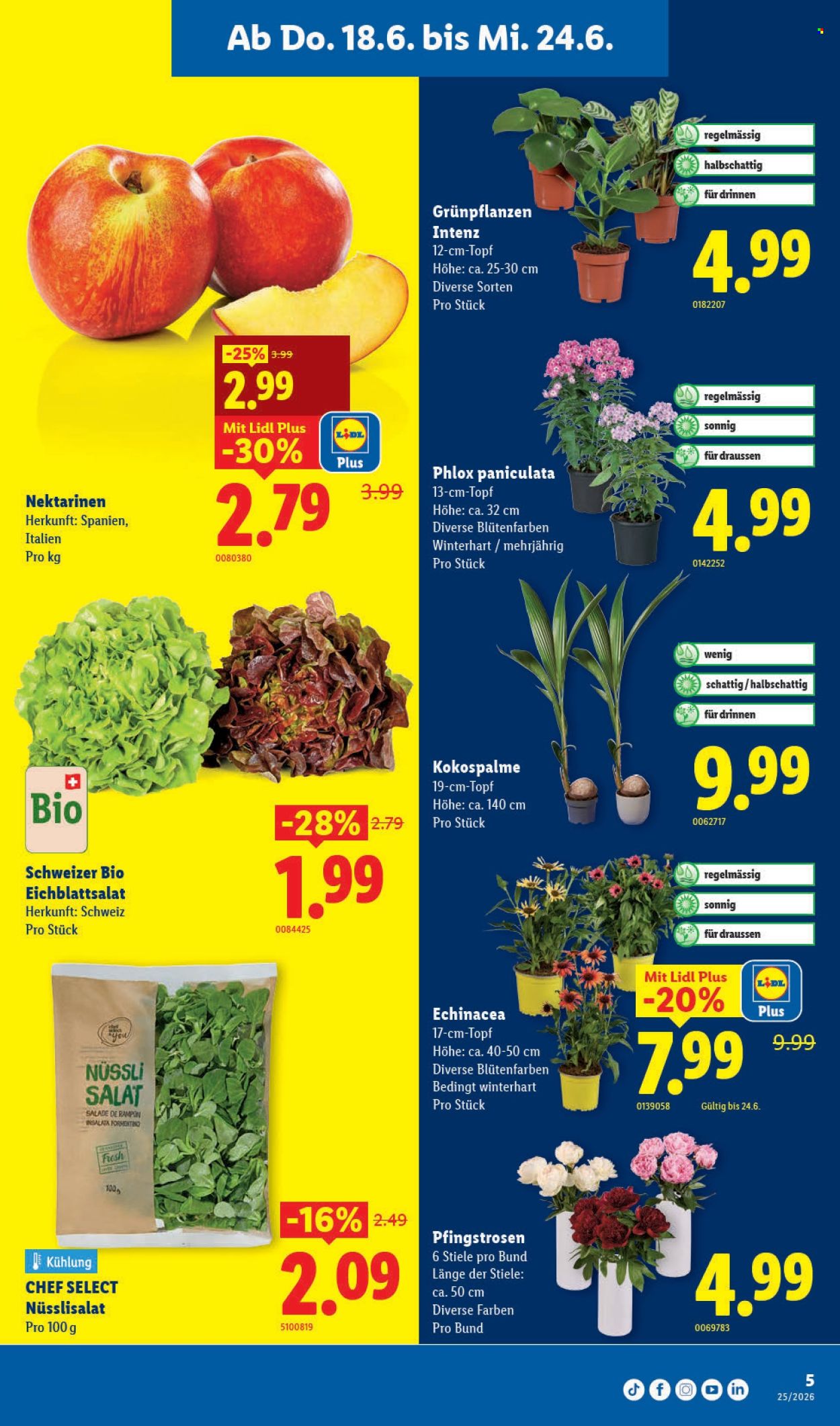 Catalogue Lidl - 18.6.2026 - 24.6.2026. Page 5. Page 5