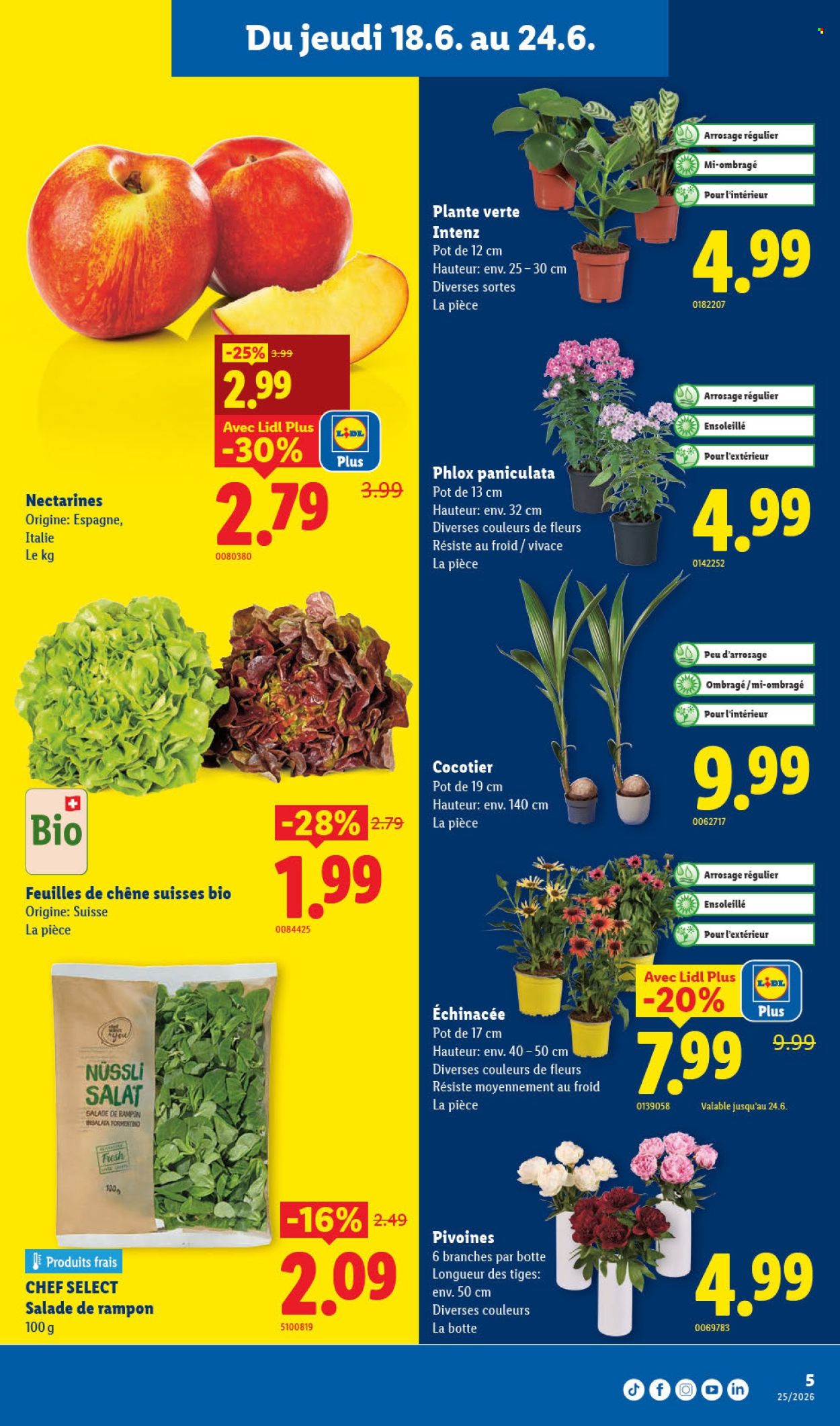 Catalogue Lidl - 18.6.2026 - 24.6.2026. Page 5. Page 5
