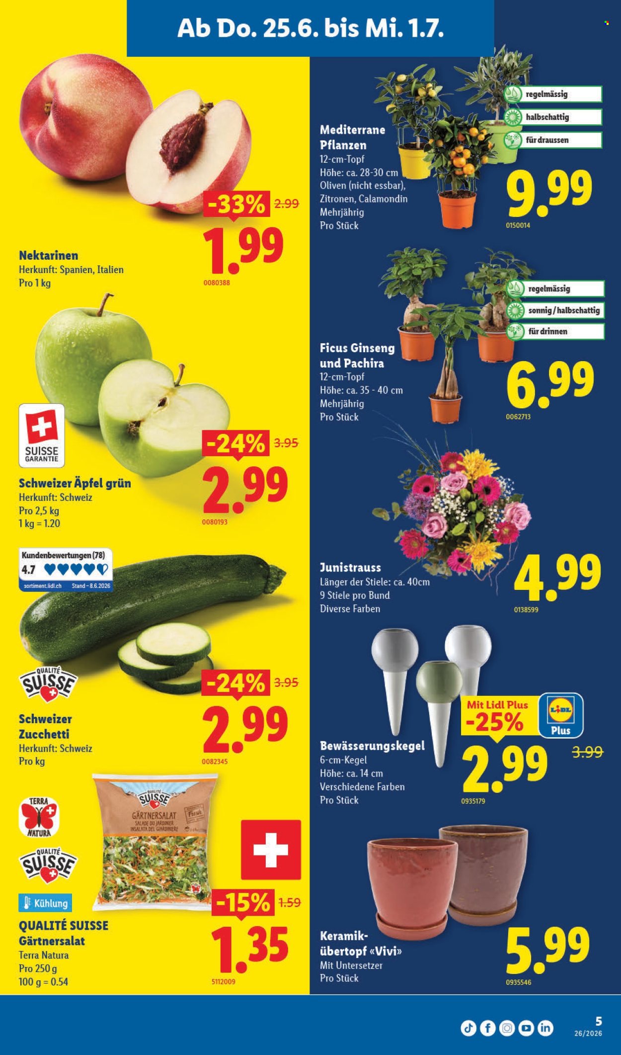 Catalogue Lidl - 25.6.2026 - 1.7.2026. Page 5. Page 5