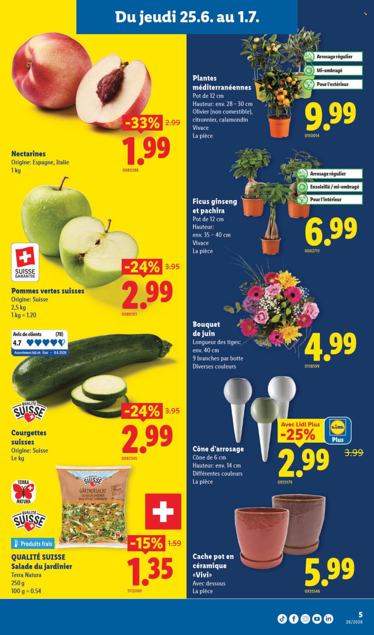 Catalogue Lidl - 25.6.2026 - 1.7.2026. Page 5. Page 5