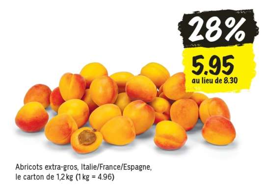 Abricots extra-gros