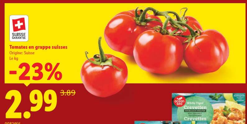 TOMATES EN GRAPPE SUISSES
