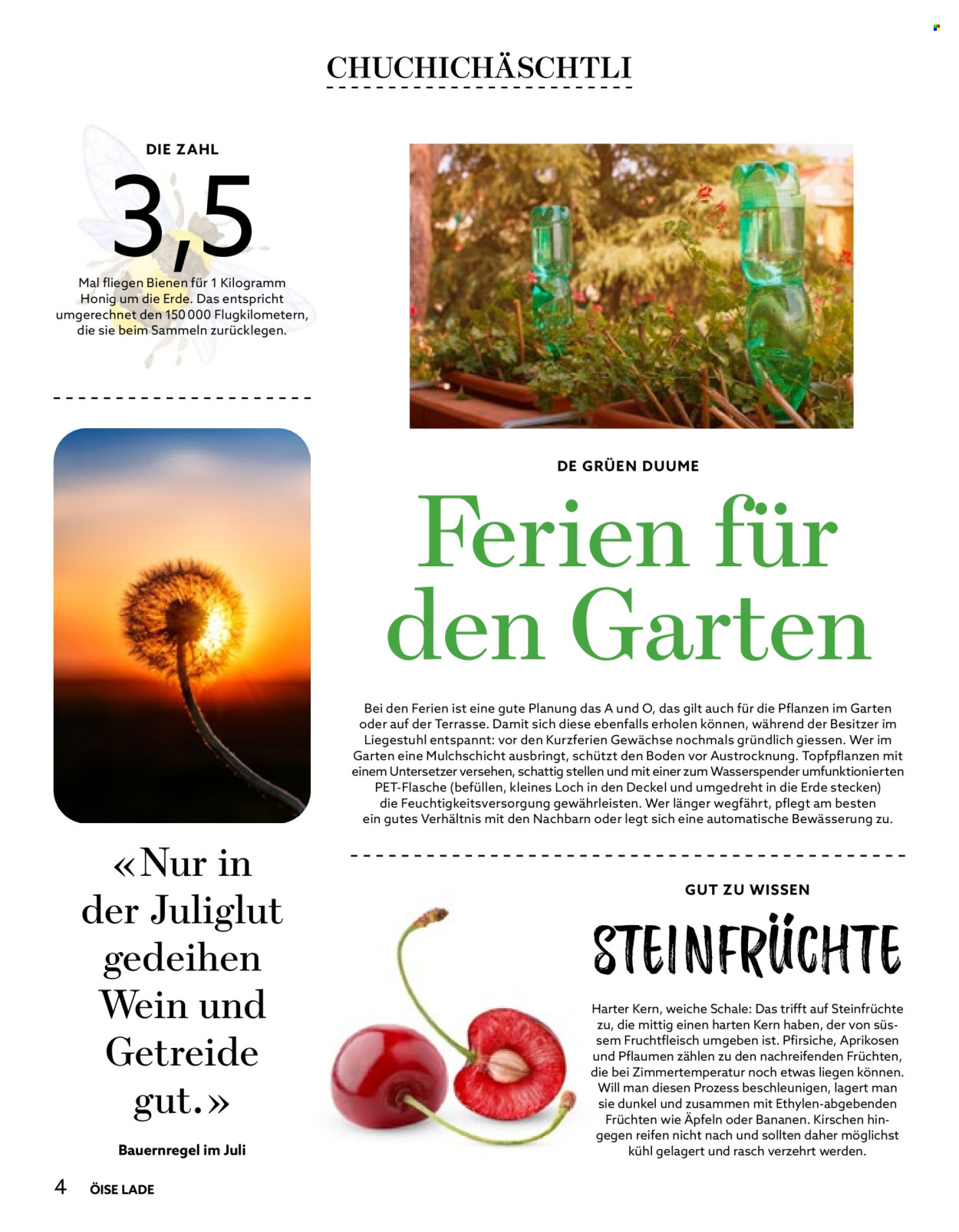 Catalogue Volg - 1.7.2026 - 31.7.2026. Page 4. Page 4